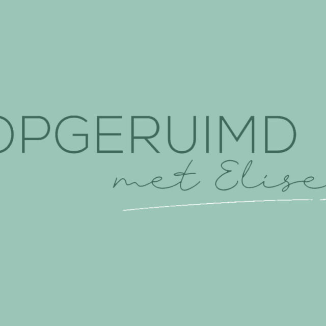 OpgeruimdmetElise - Logo